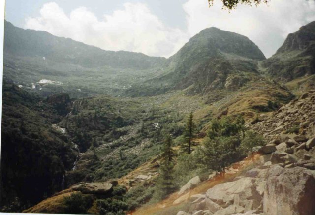 Monte BO